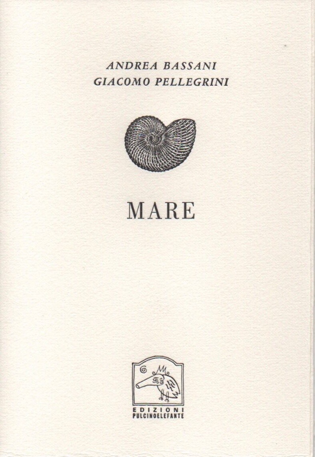 Mare (Edizioni Pulcinoelefante) di Andrea Bassani